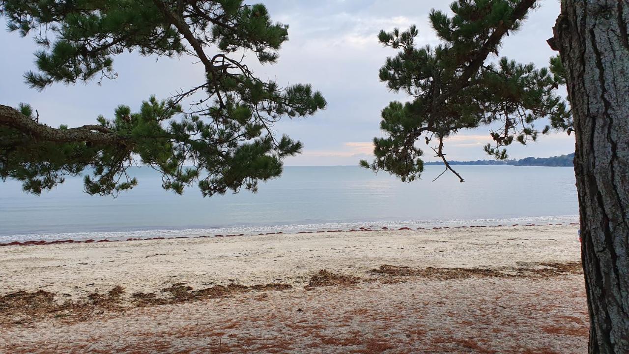 Vacances O Cap Coz - Jardin Vue Mer Et Piscine - Residence Cap Azur Fouesnant Luaran gambar
